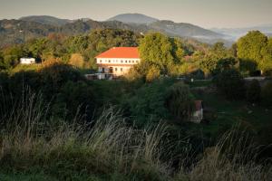 Auszeit in den Weinbergen der Untersteiermark