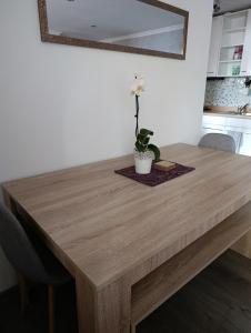 Ubytovanie Pod lesom