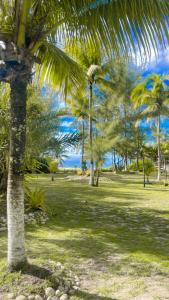 Pousada Oasis Beach Club