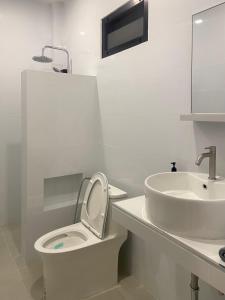 The Whispering Palm Coconut Lane