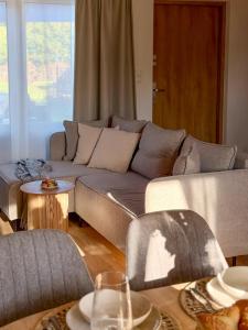 Domki przy Lesie Sasino