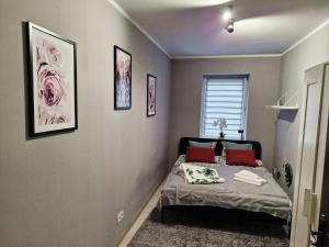 Friendly Apartment Wełnowiec