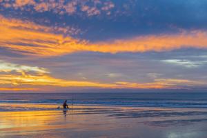 North Shore Place 207