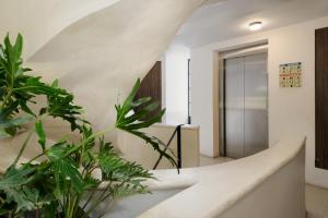 Oaxaca by Wynwood House