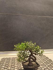 Valaoritou Luxury Jacuzzi by Dimcol 3