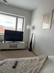 Beautiful studio in the city center