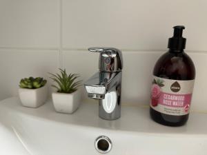 Beautiful studio in the city center