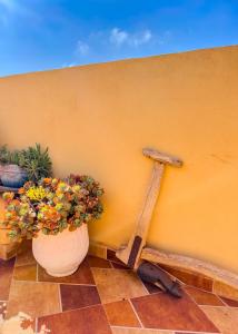 Tayafut Apartments & Terrace by Surfleft Morocco