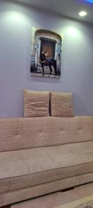 Florenza Resort - Roboost - Hurghada