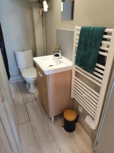 La Bulle de Tours, hyper center, train station in front!