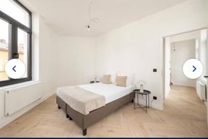 Groot rustgevend huis met dakterras uitzicht op het groen kwartier van Berchem