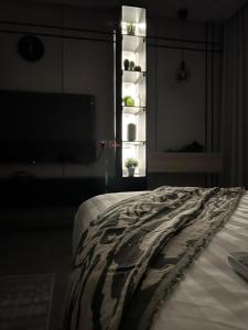 مسكن ملاذ - استديو الازدهار 3