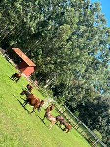 Estancia La Paulina