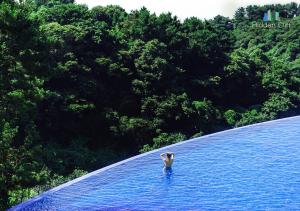 Hidden Cliff Hotel and Nature