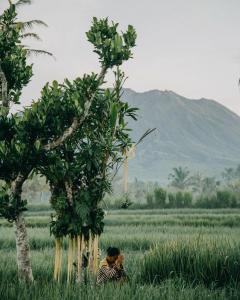 Nirvana Bamboo House Sidemen - The Aesthetic Stay