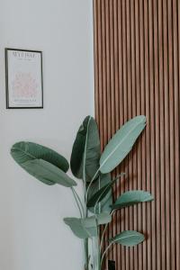 Cosy T2 rénové, proche centre-ville-FibreNetflix