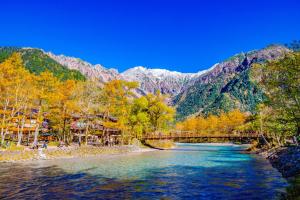 白濁温泉の宿 アルプスの癒し アルプホルン Alphorn