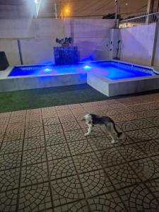 Spacious apartment on the second floor