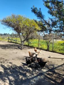 Eco Parcela La Chacra