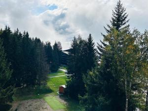 Studio cabine au pied des pistes avec balcon - FR-1-346-593