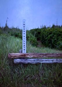 IGUANA Villa COSTA LATINA IWAI BEACH イグアナヴィラ