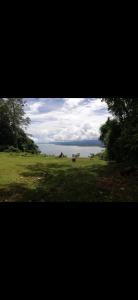 Villa Coral Gables Casa