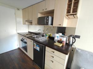 Estudio Hotelero Santiago Centro