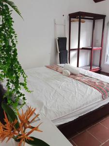 Tim Hotel - Near The Sea