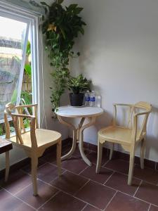 Tim Hotel - Near The Sea