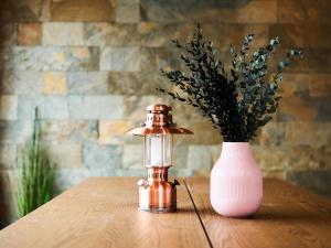 Rakuten STAY VILLA Lake Yamanakako 105