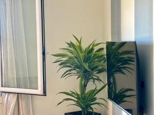 Holibai, Xacobe, Apto acogedor en Sabarís, cerca de Baiona y la playa