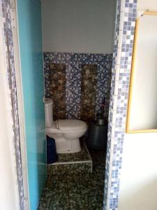 Tiga dara guest house jungle trekking