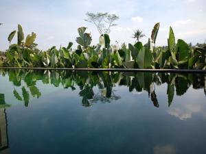 Baku Living, brings Healty life