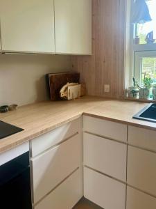 Modern Family House Near Møn Harbour