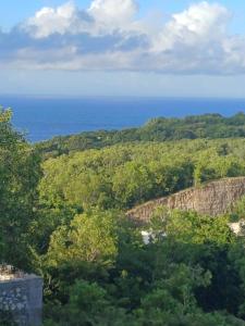 Green Bowl Beach Private Villa