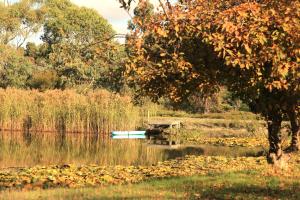 Lakeside haven cottage - Macedon ranges