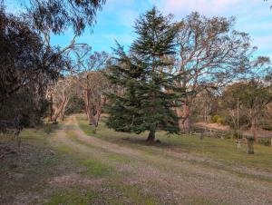 Lakeside haven cottage - Macedon ranges