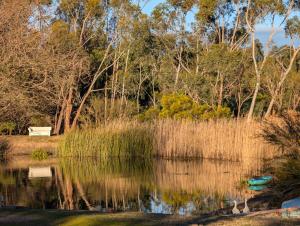 Lakeside haven cottage - Macedon ranges