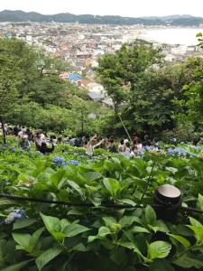 Kamakura Guest House 3 Bedrooms, Sleeps 10