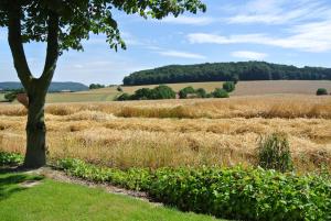 Ruheparadies Im Windfeld