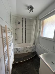 Colmar joli petit appartement