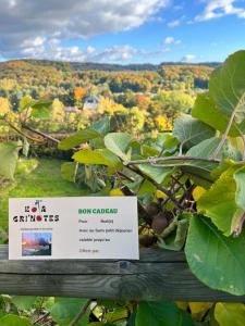 Cabane, Kota Grihôtes