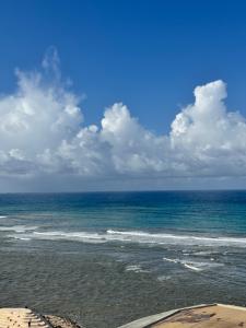 Coastal Vista Collection