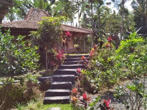 Homestay Ijen Lemon House