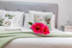 Apartamento Rolycar 101