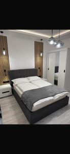 Two Residence - Ubytování bez kategorie ve městě Satu Mare