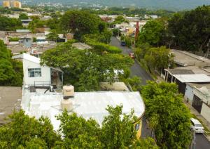 Mini casa de árbol, mágica, céntrica y de vistas panorámicas