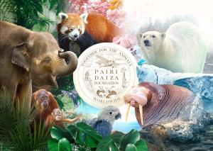 Cocon chaleureux au centre historique de Mons