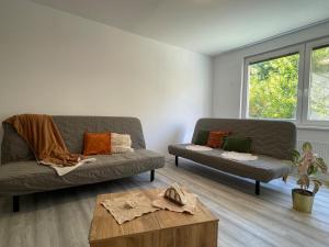 Priestranný byt pár min od centra