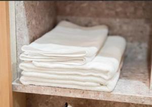 Oshiage SAIEI Hotel 101